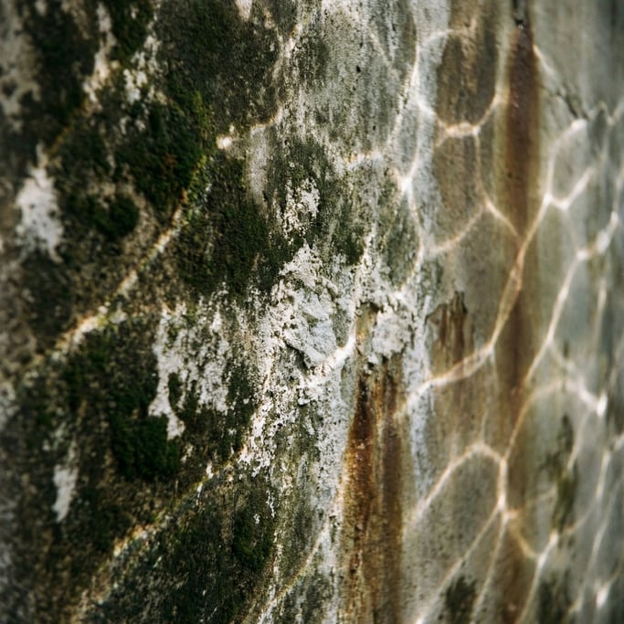 Extreme close-up of Old concrete wall with water stains, moss growth, and mineral deposits (dcrrs0xq)