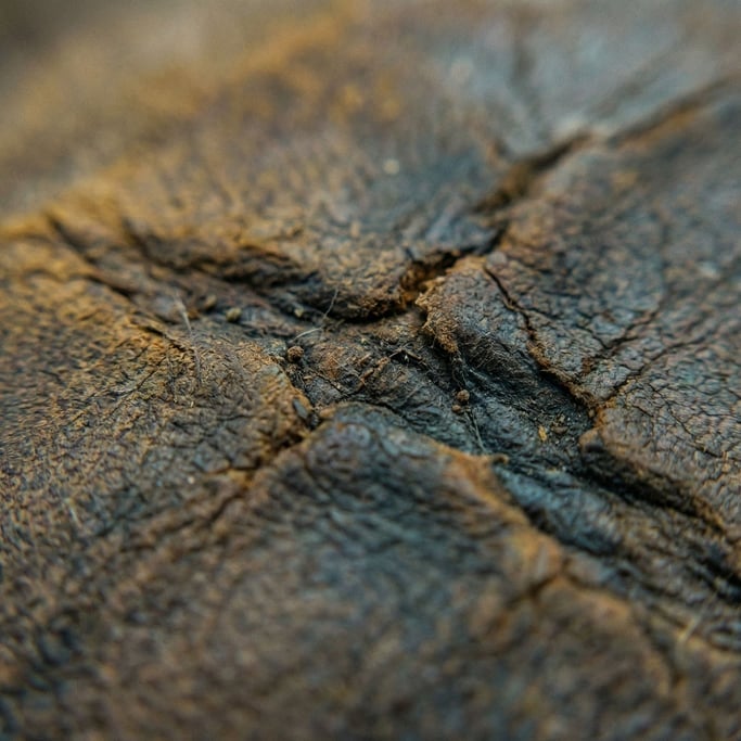 Detail photograph of Worn leather surface showing natural grain, scratches (4rp69omz)