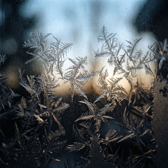 Detail photograph of Frost crystals forming on dark glass