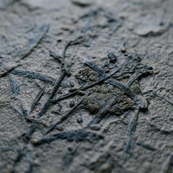 Extreme close-up of Rough handmade paper with visible plant fibers and seeds embedded in the pulp (c)