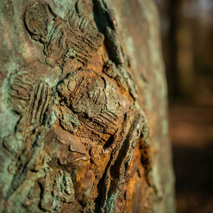 Detail photograph of Oxidized bronze sculpture surface
