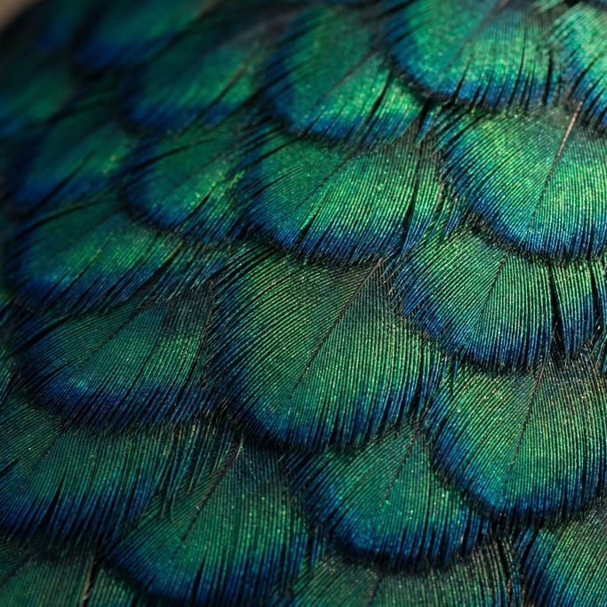 Emerald-tinted peacock breast feathers arranged in overlapping scales through the image