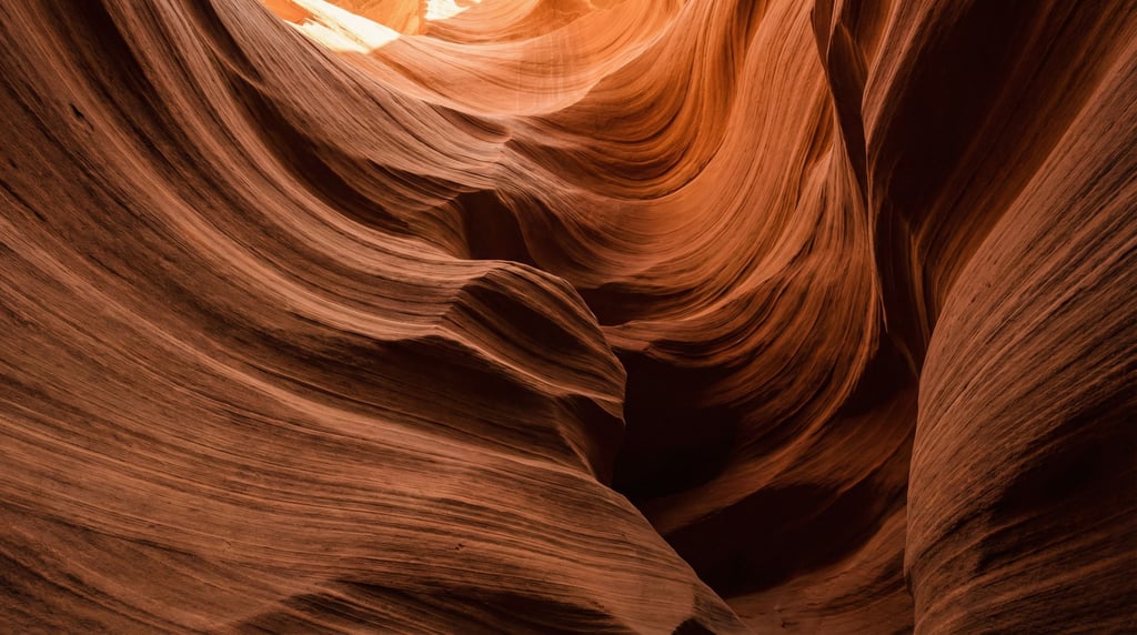Desert sandstone carved by wind into sinuous curved walls filling the frame