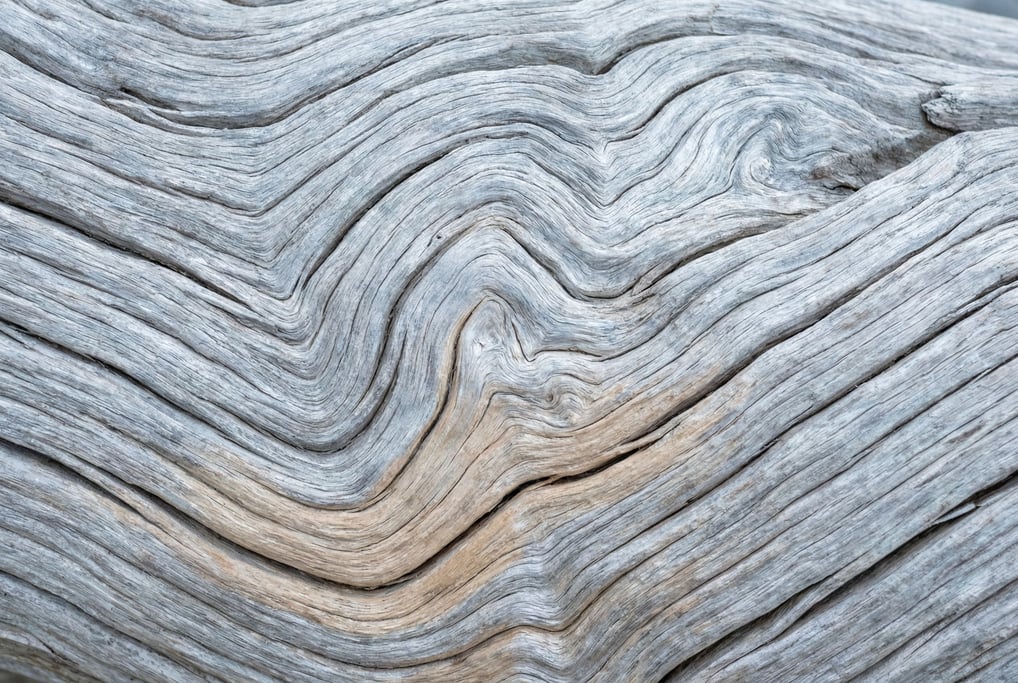 Driftwood in weathered silver-grey filling the frame