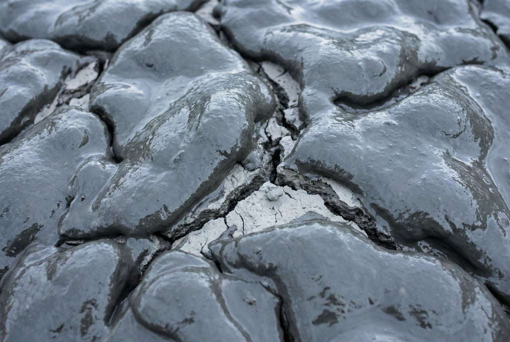 Bentonite clay in wet swelling state filling the frame