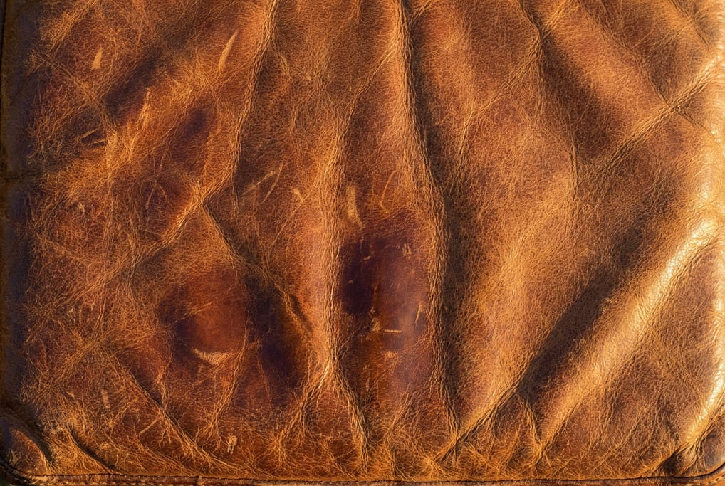 Full-grain saddle leather in warm chestnut brown filling the frame