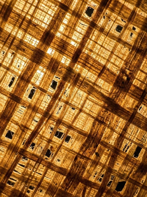 Papyrus sheet at extreme magnification consuming the entire view