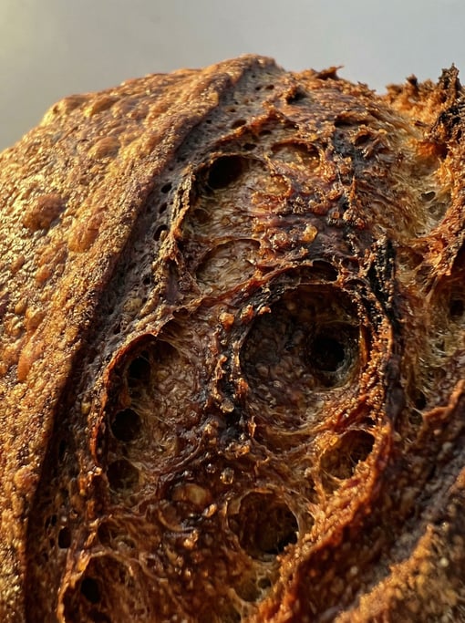 Bread crust surface at extreme magnification dominating the composition