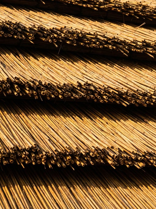 Thatched straw roof surface stretching edge to edge with bundled reed stems layered in overlapping c
