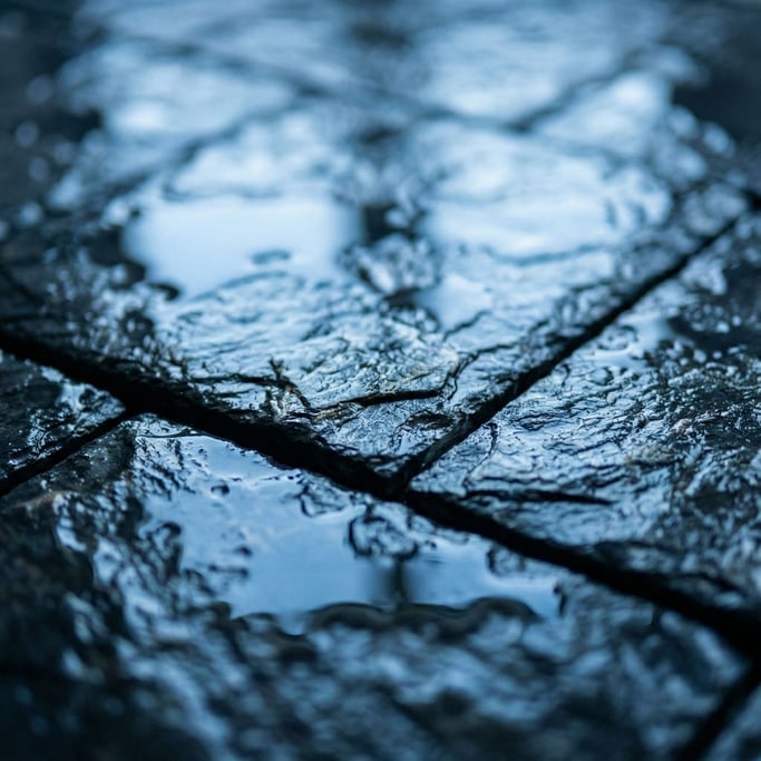 Extreme close-up of Wet dark slate tiles, reflective surface with cool blue undertones (wnpfleyk)