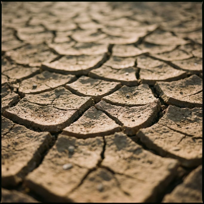 Extreme close-up of Cracked dried earth in a riverbed (bnctz4wy)