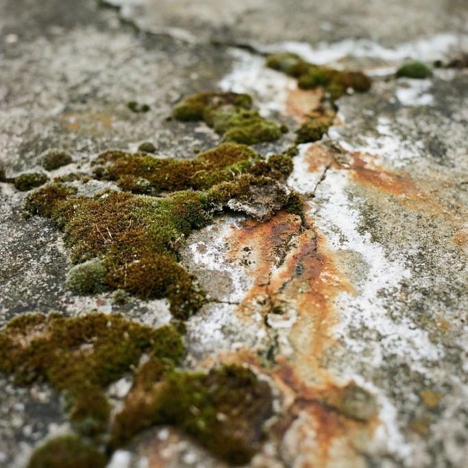 Extreme close-up of Old concrete wall with water stains, moss growth, and mineral deposits (ny)