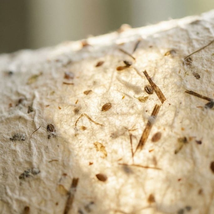 Extreme close-up of Rough handmade paper with visible plant fibers and seeds embedded in the pulp (5odhsxbs)