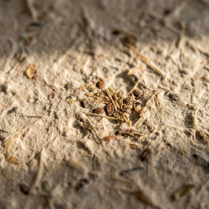 Extreme close-up of Rough handmade paper with visible plant fibers and seeds embedded in the pulp (gmb3fa)