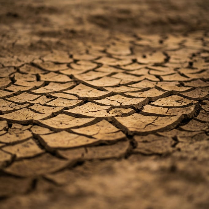 Extreme close-up of Cracked dried earth in a riverbed (vrsxbkkx)