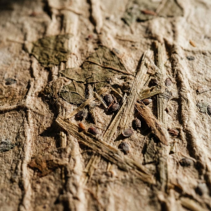 Extreme close-up of Rough handmade paper with visible plant fibers and seeds embedded in the pulp (r49lgxm)