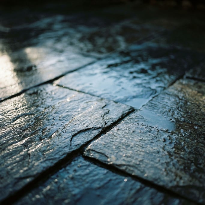 Extreme close-up of Wet dark slate tiles, reflective surface with cool blue undertones (nlgk5khq)