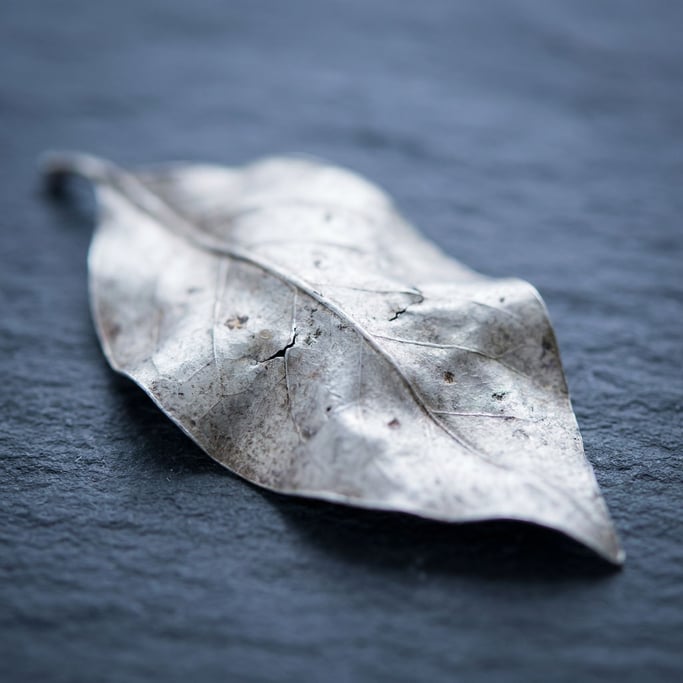 Extreme close-up of Crumpled silver leaf on a matte dark surface, fragile and luminous