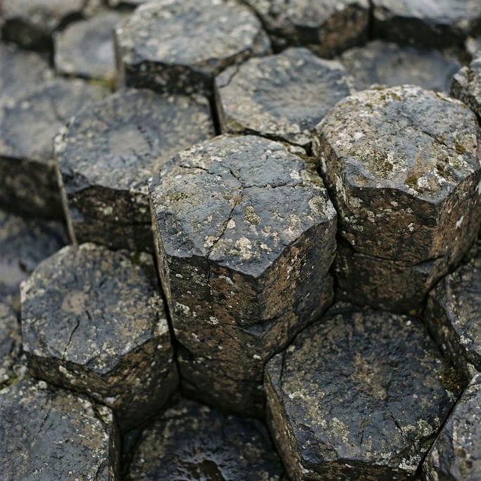 Extreme close-up of Volcanic basalt columns seen from above