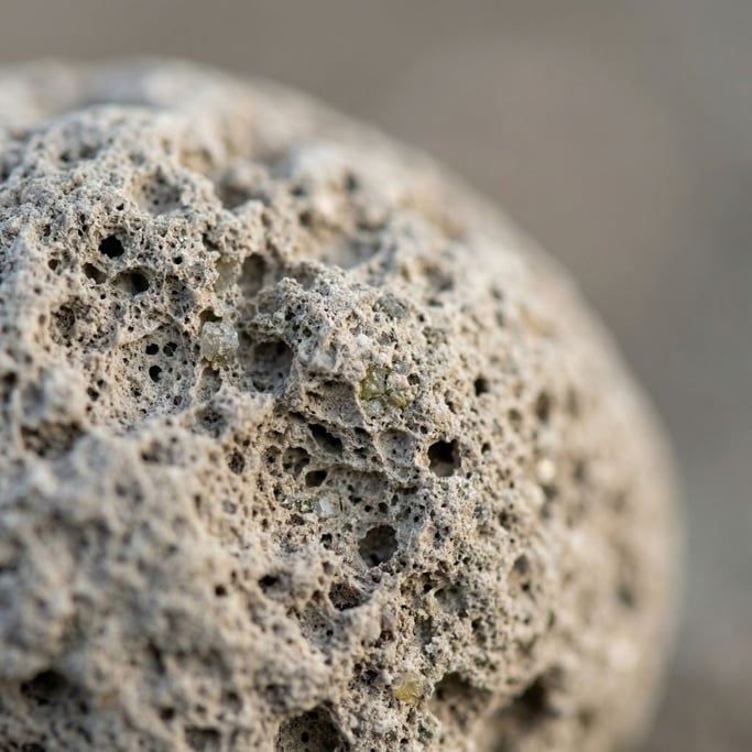 Detail photograph of Volcanic pumice stone in macro (5mfpsl7m)