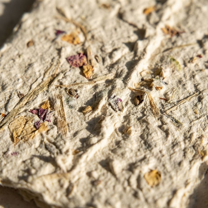 Extreme close-up of Rough handmade paper with visible plant fibers and seeds embedded in the pulp (jxfnn6id)