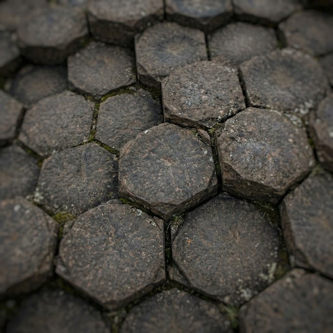 Detail photograph of Volcanic basalt columns seen from above (bqnajeqx)