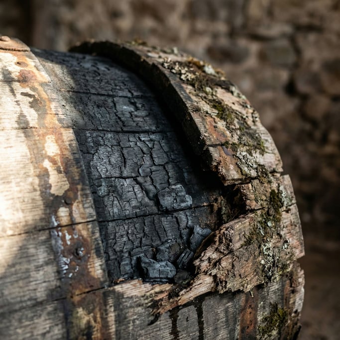 Detail photograph of Aged oak wine barrel stave (2gmlkhm9)