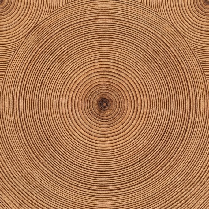 Seamless tileable texture of tree rings cross-section
