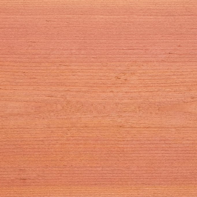 Seamless tileable texture of cedar