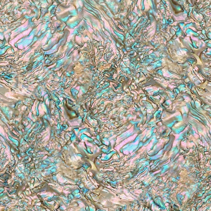 Seamless tileable texture of seashell nacre
