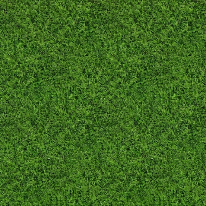 Seamless tileable texture of moss carpet