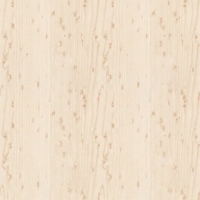 Seamless tileable texture of sugar maple