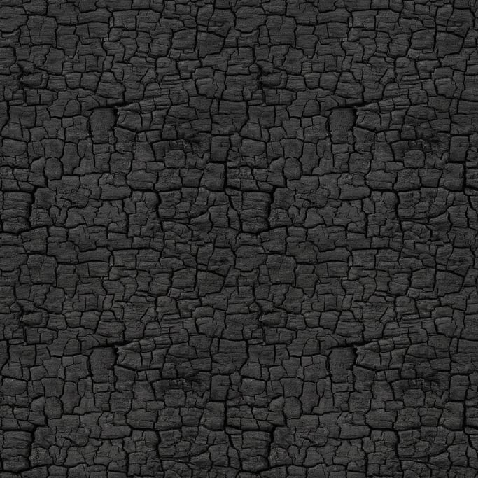 Seamless tileable texture of charred wood shou sugi ban