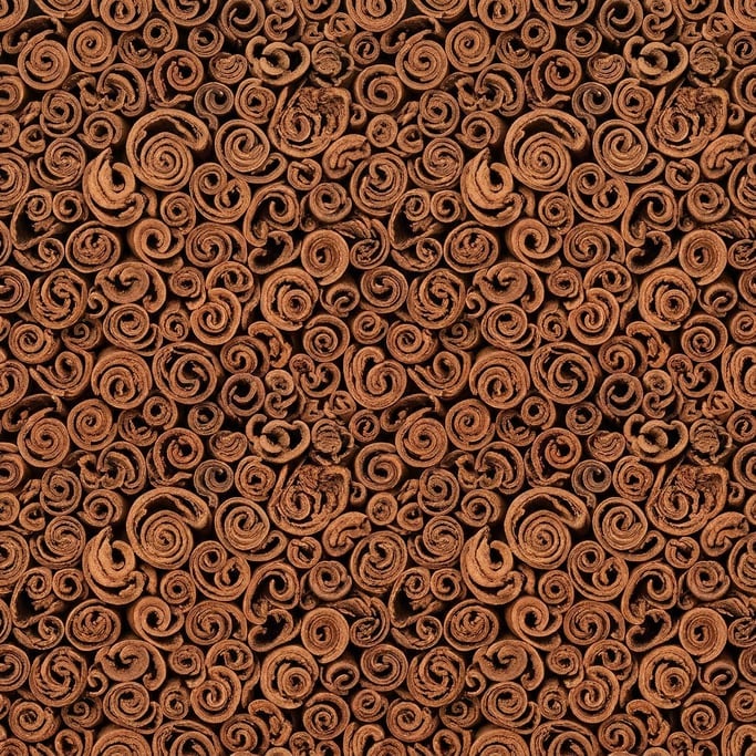 Seamless tileable texture of cinnamon bark