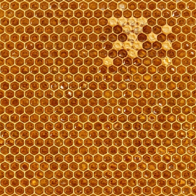 Seamless tileable texture of honeycomb, perfect hexagonal honeycomb cells filled with amber honey