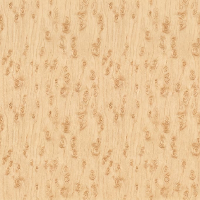 Seamless tileable texture of birds-eye maple