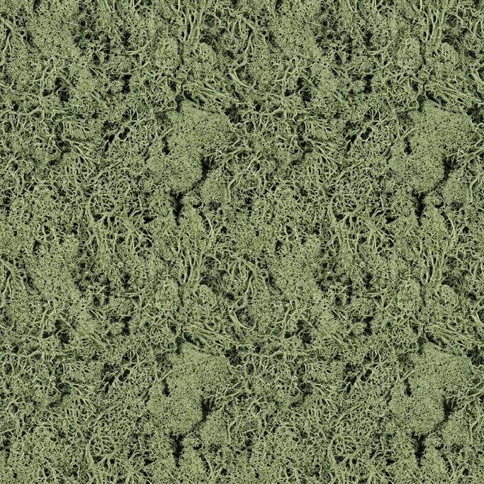 Seamless tileable texture of dried moss