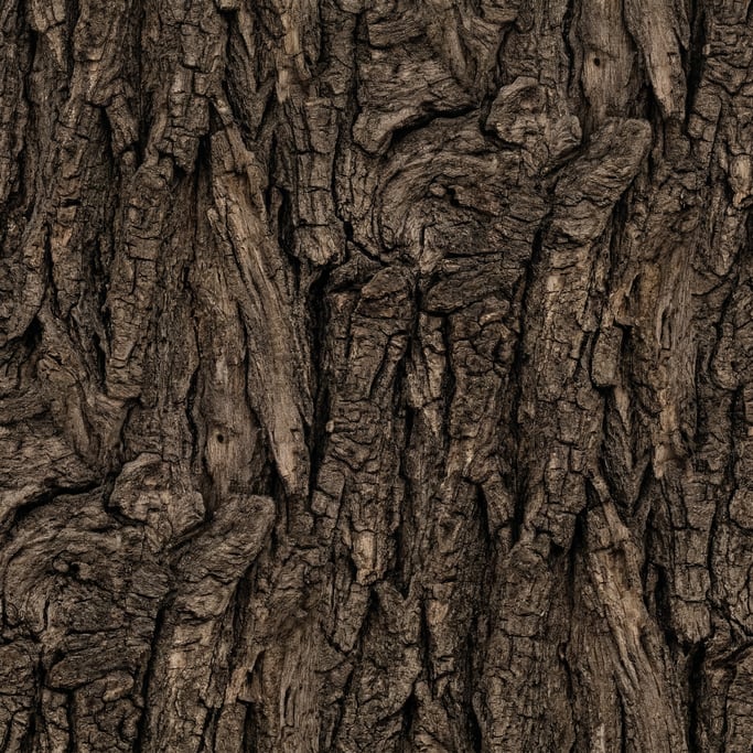 Seamless tileable texture of bark oak