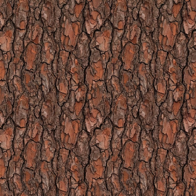 Seamless tileable texture of bark pine