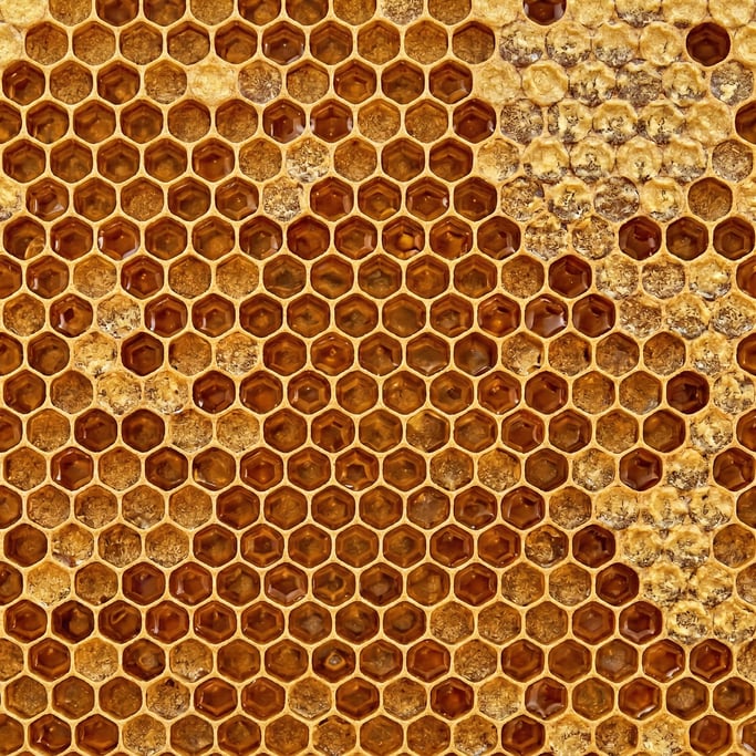 Seamless tileable texture of honeycomb at higher magnification