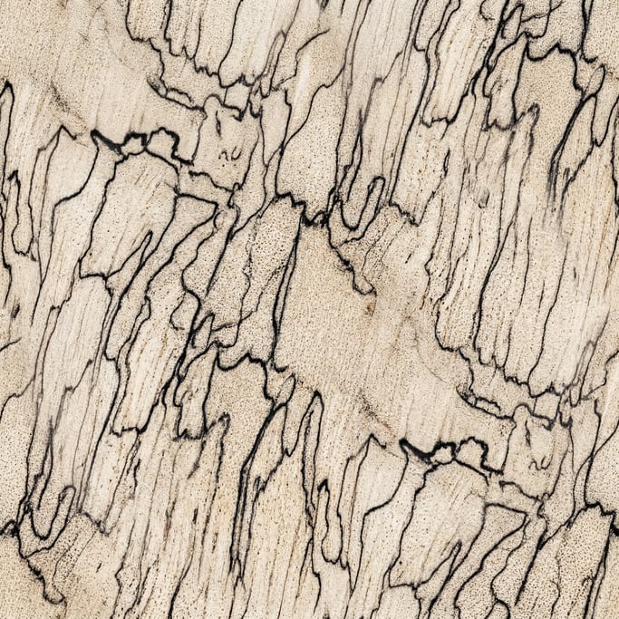 Seamless tileable texture of spalted maple at higher magnification