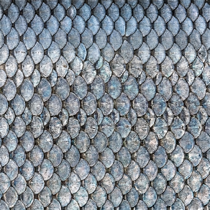Seamless tileable texture of fish scales at higher magnification
