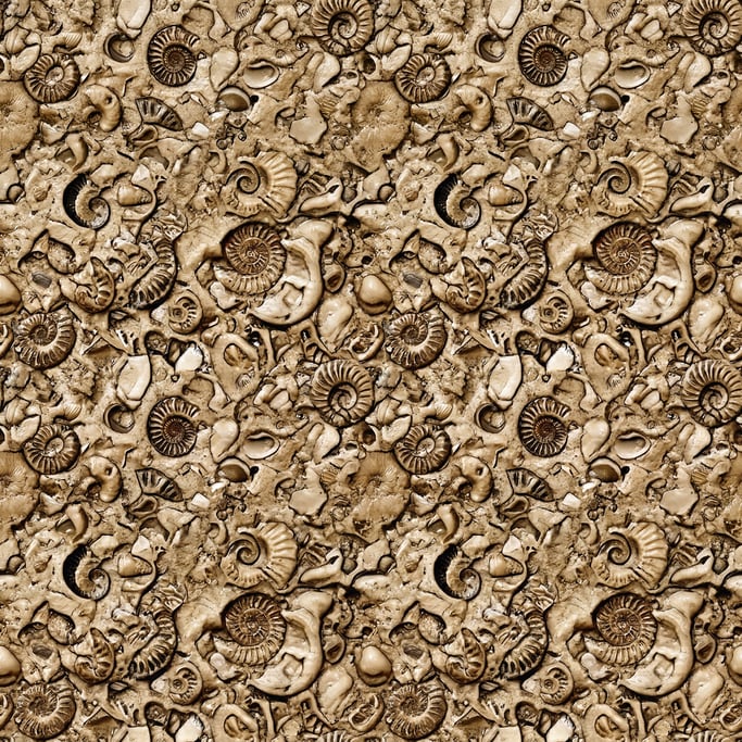Seamless tileable texture of fossil limestone wet with water