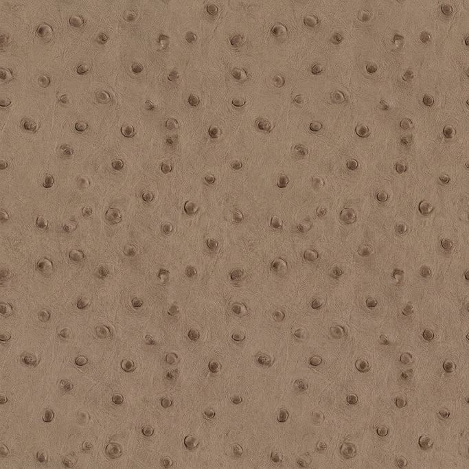 Seamless tileable texture of ostrich leather freshly cut and raw