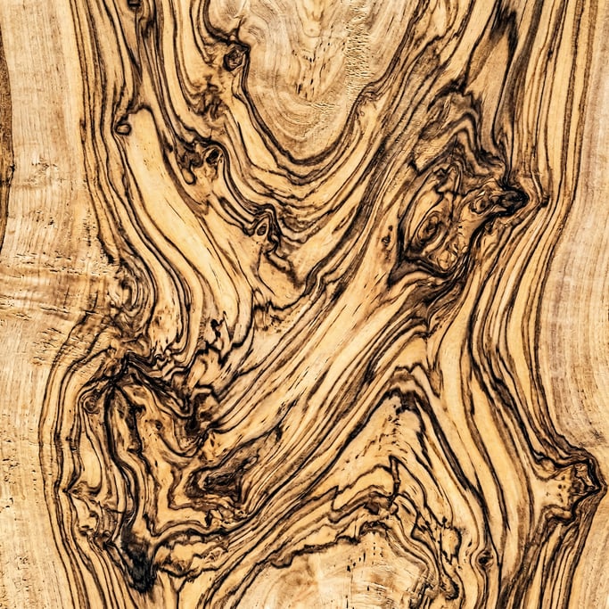 Seamless tileable texture of olive wood freshly cut and raw