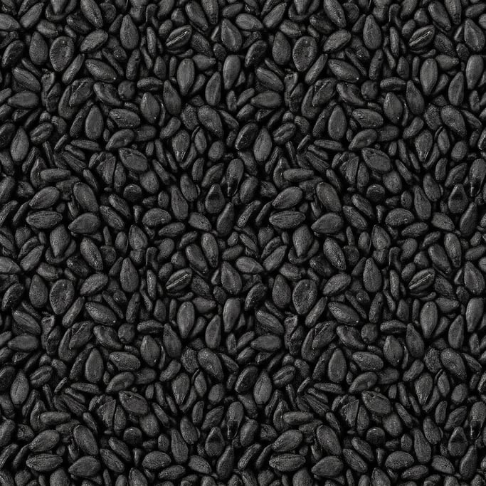 Seamless tileable texture of black sesame seeds at higher magnification