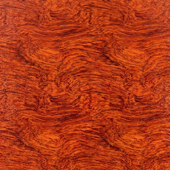 Seamless tileable texture of padauk wet with water
