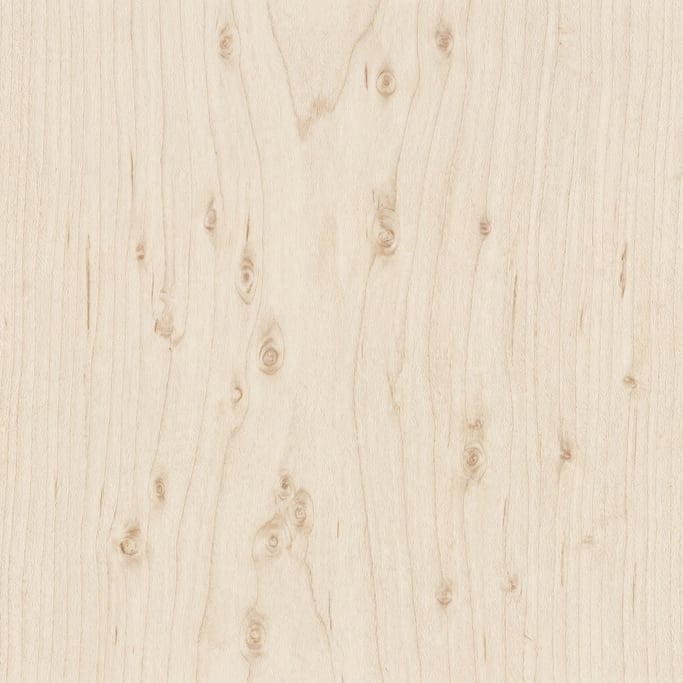 Seamless tileable texture of sugar maple freshly cut and raw