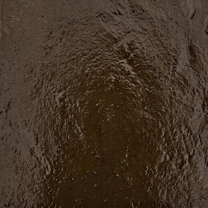 Seamless tileable texture of wet river mud wet with water