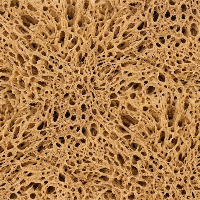 Seamless tileable texture of sea sponge at higher magnification